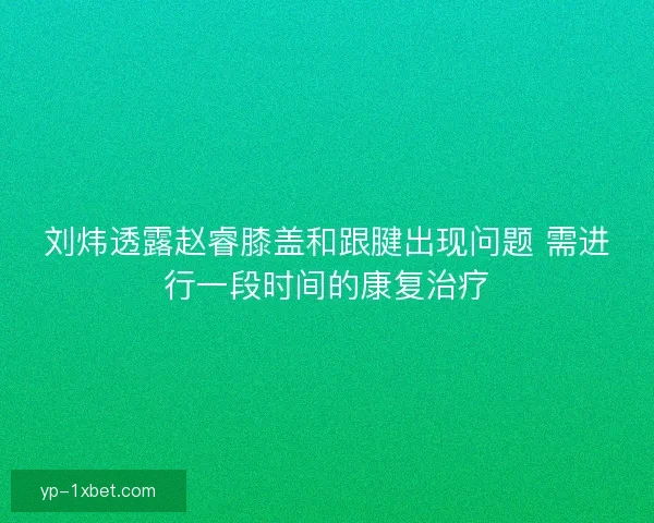 刘炜透露赵睿膝盖和跟腱出现问题 需进行一段时间的康复治疗