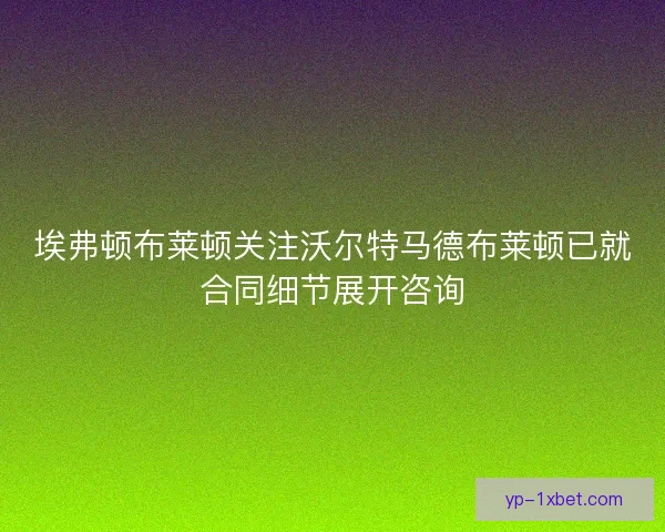 埃弗顿布莱顿关注沃尔特马德布莱顿已就合同细节展开咨询